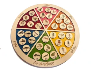 Klasifikace zvířat